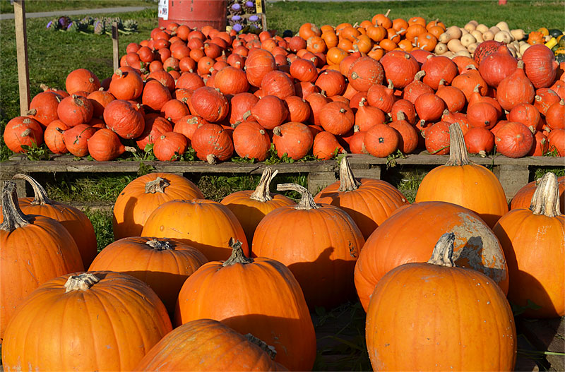 Halloween In Germany The German Way More